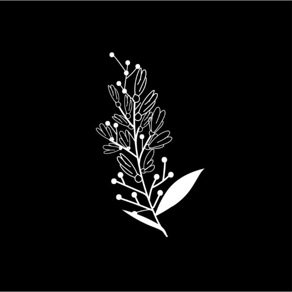 Hand Drawn Botanical Element Vector With Gray Background Free Vector