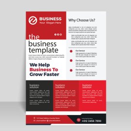 Professional informational flyer