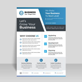 Blue black professional professional flyer