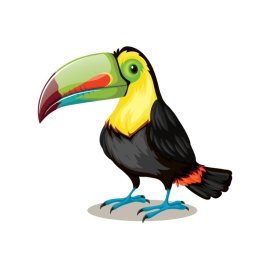 Toucan bird cartoon character vector