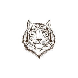 Black and white tiger illustration only head