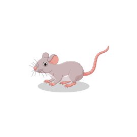 Cartoon mouse vector