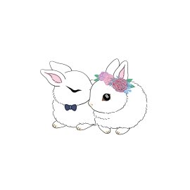 Cute rabbit couple free vector png