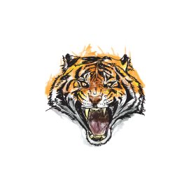 Fierce angry tiger illustration sketch vector