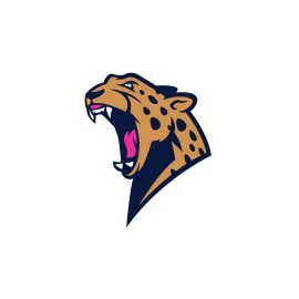 Free vector hand drawn leopard mascot