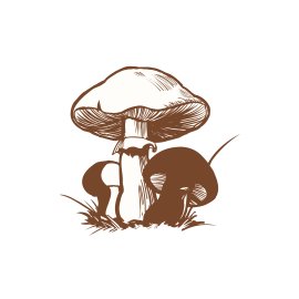 Hand drawn mushroom illustration vector sketch style