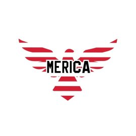 Free Png America united states flag color eagle vector