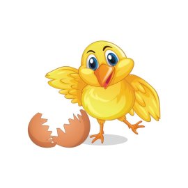 Baby cute cartoon chicken with cracked egg vector