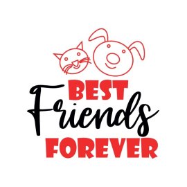 Best friends forever friendship goals png