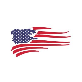 Abstract American flag design vector