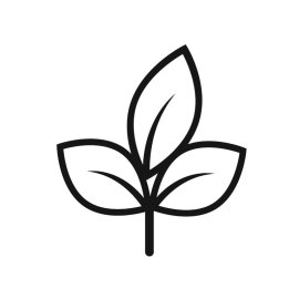 Ash leaves outline vector