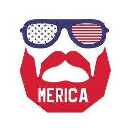 Beard man wearing American flag glasses vector