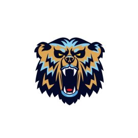 Bear headpng, Colorful bear head illustration, Colorful bear head vector