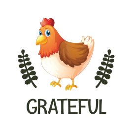 Grateful chicken vector