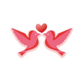 Love birds vector png