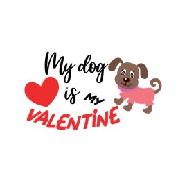 My dog is my valentine