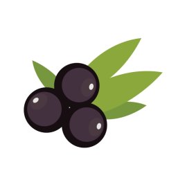 Acai png, Cartoon style acai fruit mascot
