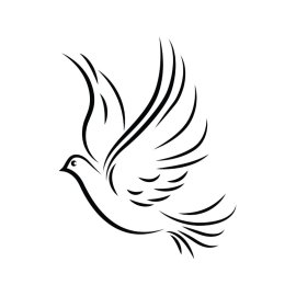 Bird outline png abstract pigeon vector black color