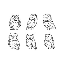Doodle owl png outline bird vector different shapes collection