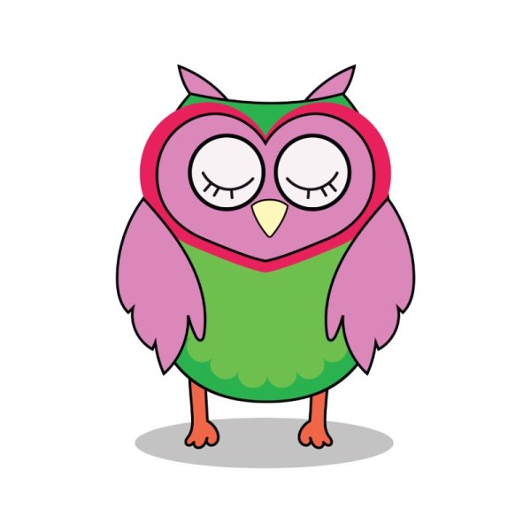 Colorful owl png cartoon owl bird png vector - Free Png Images