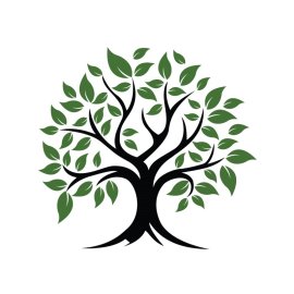 Tree png cartoon tree leaves branch nature vector