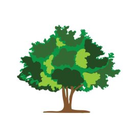 Tree png green tree color plant nature greenery vector