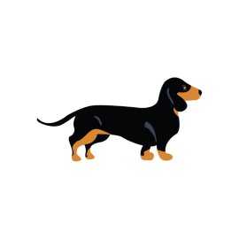 Dachshunds Purebred Dogs PNG Black Color Dog Vector