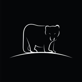 Hand Drawn Bear Mascot White Outline Bear PNG