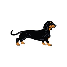 Sausage Dog PNG Dog Breed Mascot Vector