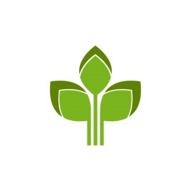 Leaf PNG Green Leaves Vector Illustration