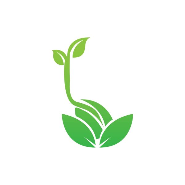 Seed Germination PNG Green Leaves Vector - freepng