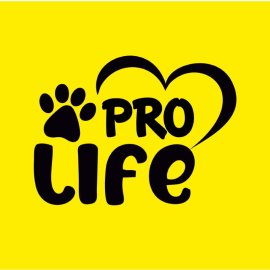 Life Pro Black Cute Typography Vector