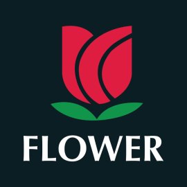 Rose PNG Flat Simple Red Rose Design Flower Vector