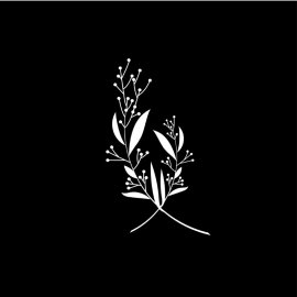 Free Vector Of Hand Drawn Botanical Element Vector With Gray Background