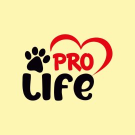 Pro Life Typography Vector
