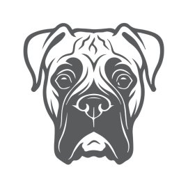Bulldog PNG Black And White Bulldog Sketch Illustration Vector
