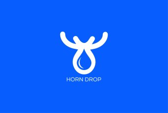 I Will Create Custom Logo Design for your Business Professional Logo Maker Logo Creation Logo Design Custom For Business Branding Kit