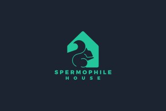 Custom Hand Drawn Logo, Logo Design, Logo Design Custom For Business, Logo Design, Business Logo Design, Logo, Photography Logo,