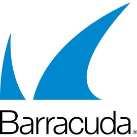 Barracuda Networks Logo Vector PNG | Barracuda Cybersecurity Branding Icon | Modern Shark Fin Symbol for Network Protection | Barracuda Corporate Identity Mark