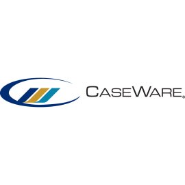 Caseware International Logo Vector PNG | Modern professional accounting software emblem | Dynamic oval mark with abstract bars | Clean corporate wordmark design
