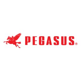 Pegasus Logo Vector PNG | Red Pegasus Emblem | Winged Horse Brand Mark | Classic Pegasus Wordmark