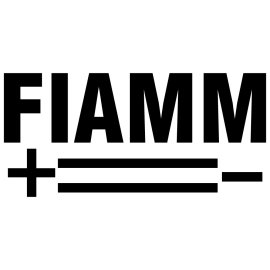 FIAMM Logo Vector PNG | FIAMM Battery Brand Emblem | FIAMM Industrial Power Solutions Logo | FIAMM Automotive Energy Logo