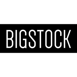 Bigstock minimalist wordmark logo | Bold black and white Bigstock branding | Modern sans-serif Bigstock logotype | Clean rectangular Bigstock emblem