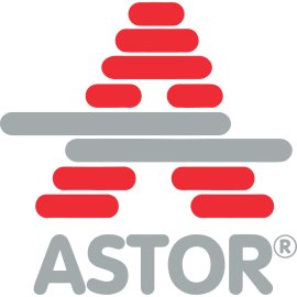Astor Enerji Logo Vector PNG | Modern Energy Solutions Emblem | Red and Grey Power Symbol | Contemporary Industrial Brand Mark