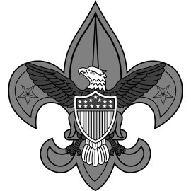 Classic Emblem of Honor and Preparedness | Heraldic Eagle with Shield and Fleur-de-lis | Timeless Symbol of Youth Leadership and Service | Iconic American Scouting Insignia