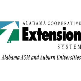 Lazer Computers Logo Png | Lazer Computers Logo Vector 