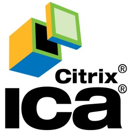 Ica Citrix Logo Png | Ica Citrix Logo Vector | Digital Agility  Citrus Freshness  Secure Synergy  Nordic Trust