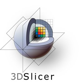 3D Slicer Vertical Logo Vector Png | Advanced Medical Imaging Platform Emblem | Open-Source Visualization and Analysis Symbol | Multidimensional Data Exploration Icon