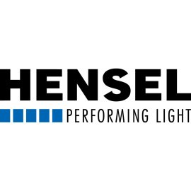Hensel Logo Png | Hensel Logo Vector | Precision in Motion  Heritage of Ingenuity  The Golden Goose  Symbol of Reliability