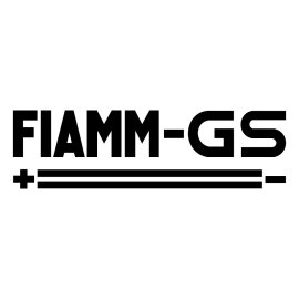 Fiamm Gs Logo Png | Fiamm Gs Logo Vector | Fiamm Gs | Igniting Innovation | The Spark of Progress | Dynamic Energy in Motion